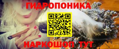 стаф Донецк