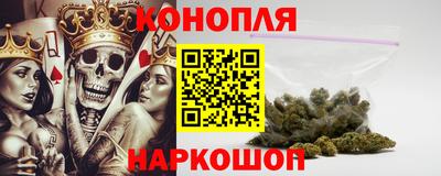 СК Дубна