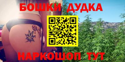 СК Дубна