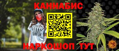 СК Дубна