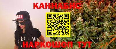 СК Дубна