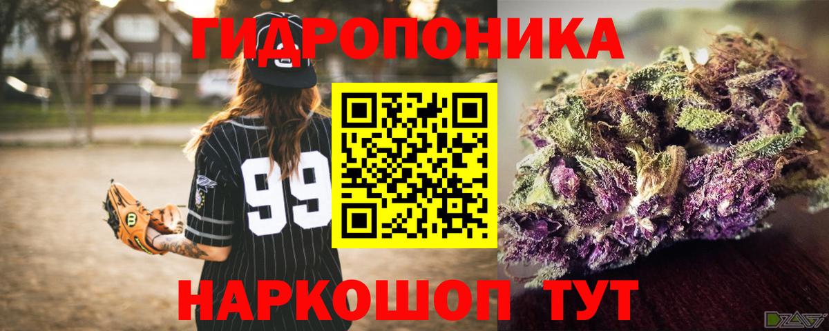 Каннабис планчик Коркино